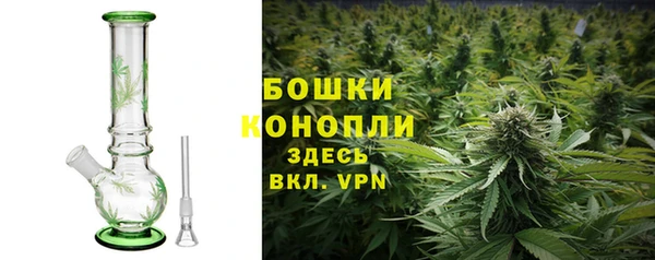 крисы Заполярный