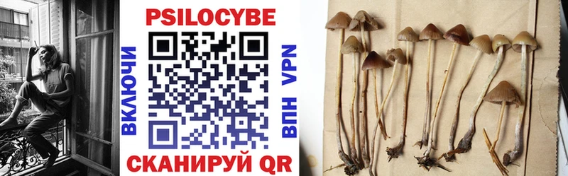 Псилоцибиновые грибы ЛСД купить цена Верея